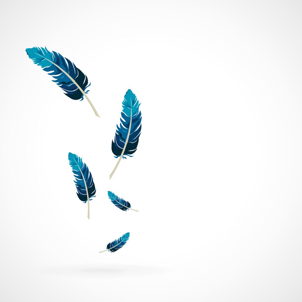 feather, blue, falling
