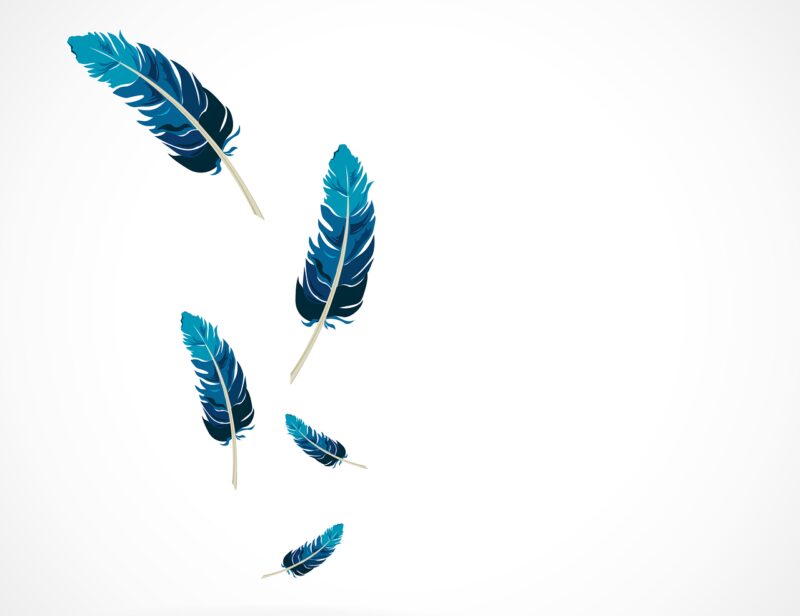 feather, blue, falling